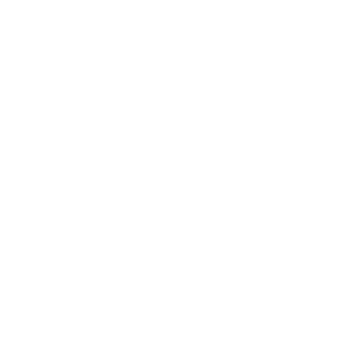 Problem Icon