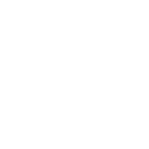 Problem Icon