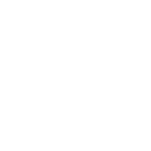 Challenge Icon