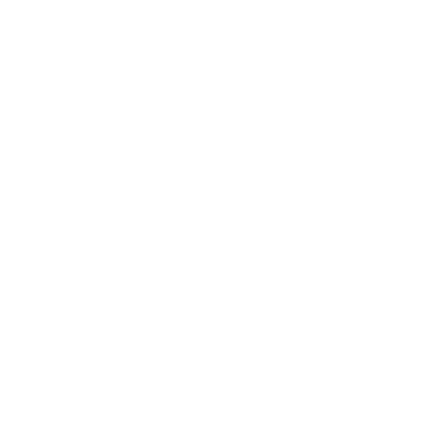 Challenge Icon