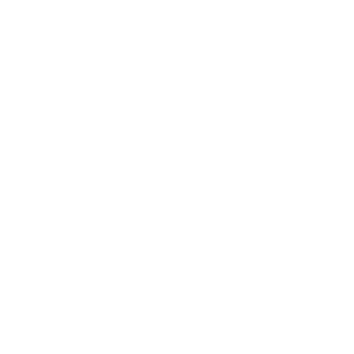 Solution Icon