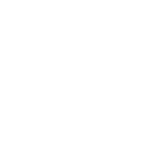 Solution Icon