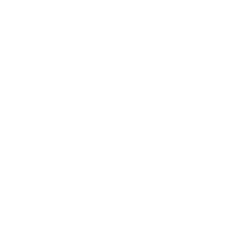 Solution Icon