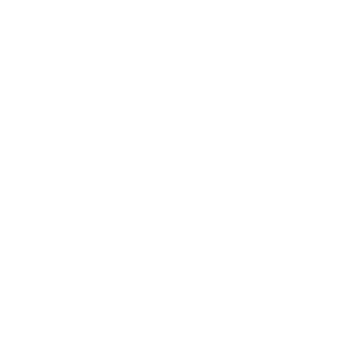 Problem Icon