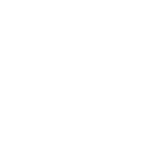 Problem Icon