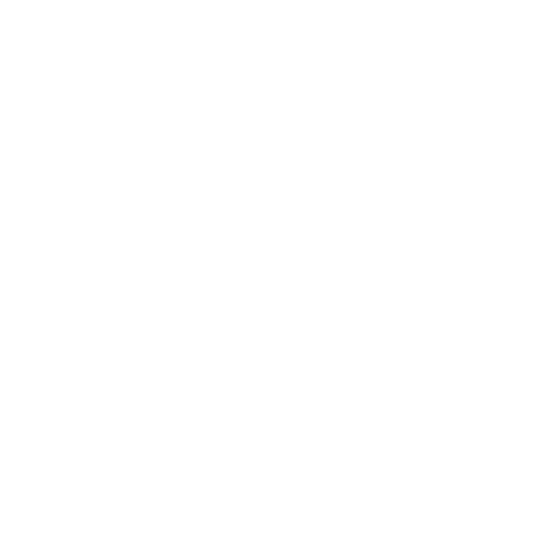 Challenge Icon