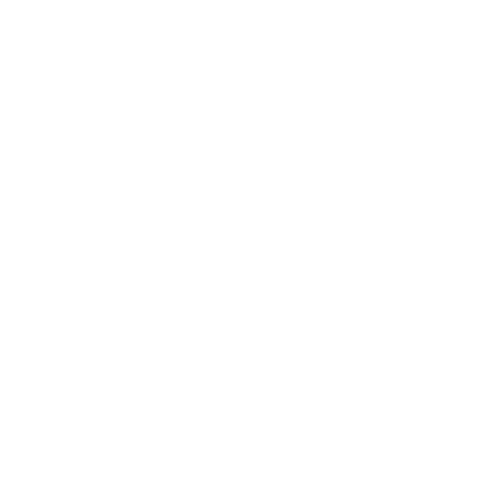 Problem Icon