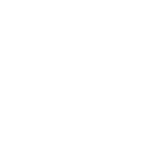 Solution Icon