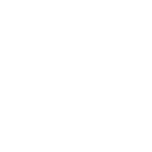 Solution Icon