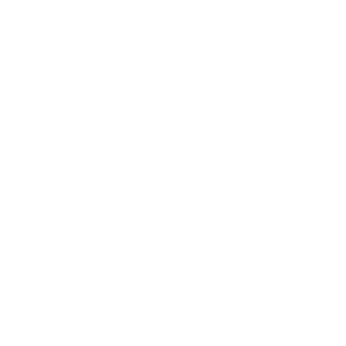 Challenge Icon
