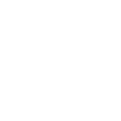 Solution Icon